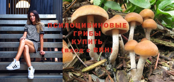ГАЛЛЮЦИНОГЕННЫЕ ГРИБЫ Вязники