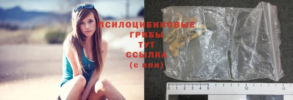 ГАЛЛЮЦИНОГЕННЫЕ ГРИБЫ Вязники