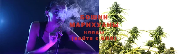 мдпв Лиски