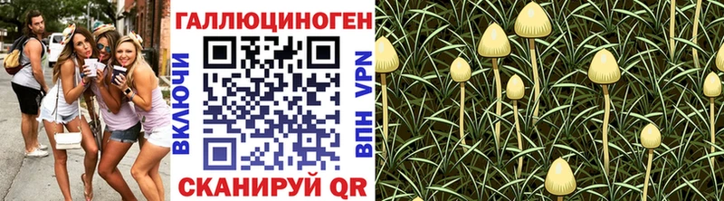 Псилоцибиновые грибы GOLDEN TEACHER  omg зеркало  Можга 