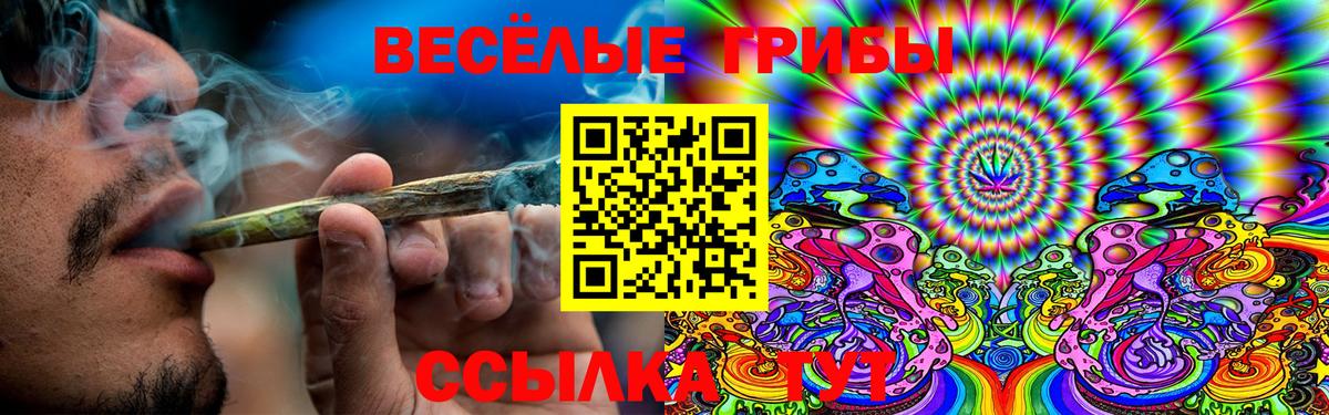 Можга  Псилоцибиновые грибы мицелий  Вход с VPN 
