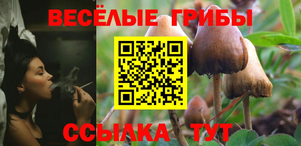 Псилоцибиновые грибы ЛСД Можга