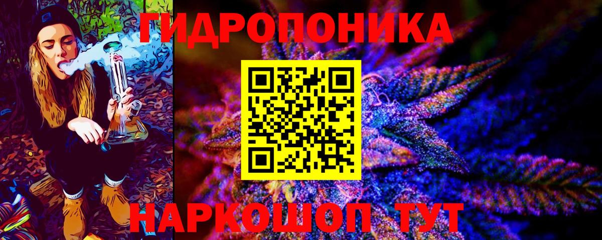 Бошки марихуана OG Kush Можга